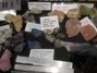 Geological Treasures